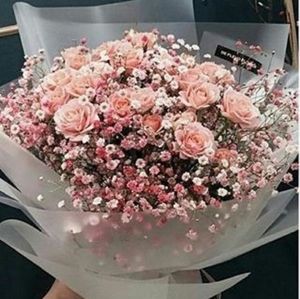 Meet your Posher, Ella